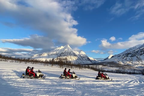 From Tromsø: Snowmobile Safari in the Lyngen Alps