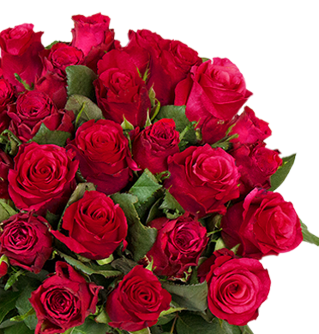 Blumen verschicken & zum Wunschtermin liefern lassen | BlumeIdeal.de