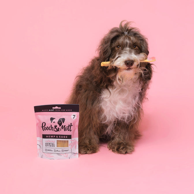 FREE GIFT Calming Dental Sticks For Dogs
