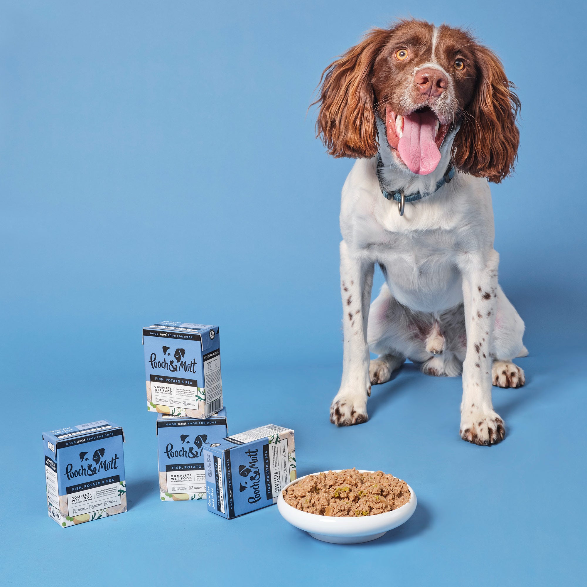 Fish, Potato & Pea Wet Food