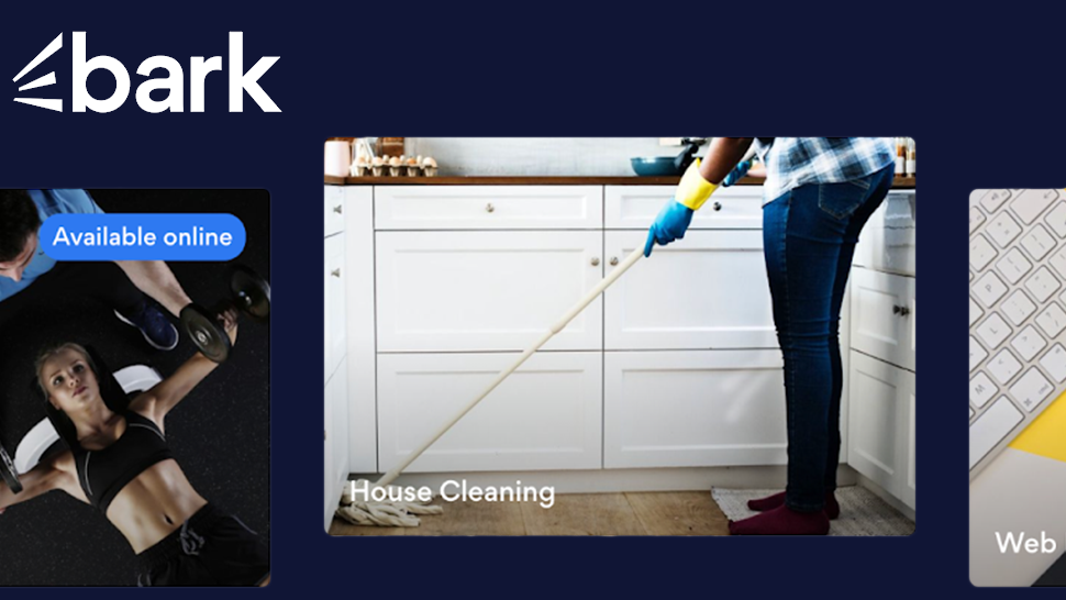 Bark Case: Find the perfect professional for you - Making Science