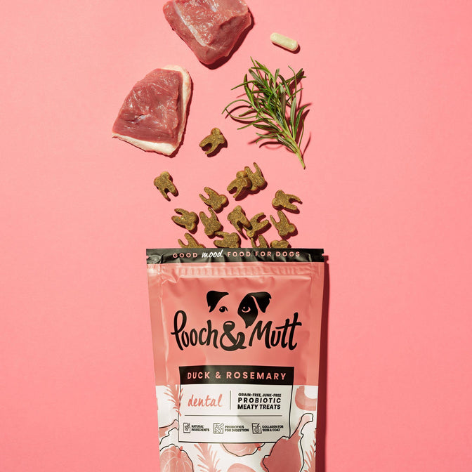 FREE GIFT Dental Probiotic Meaty Treats