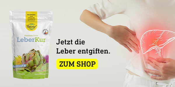Reinigung der Leber: Tipps zum Entgiften Ihrer Leber durch eine Kur!