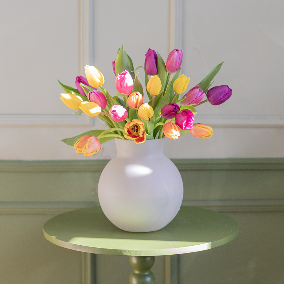Selection of Dutch colored tulips