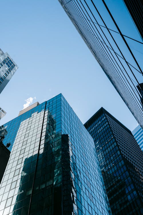 Free Mirrored skyscrapers against cloudless sky Stock Photo