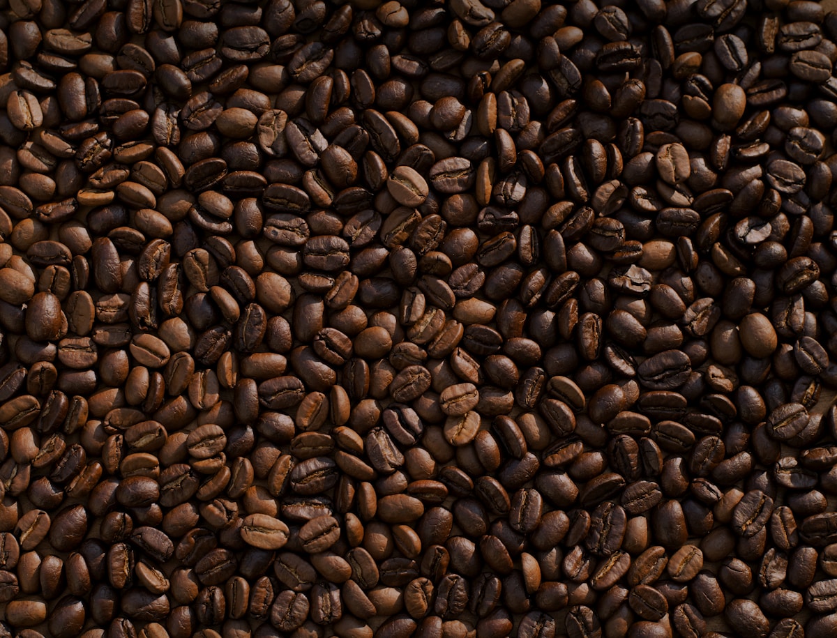 Chicchi di caffè tostati per il rituale illy