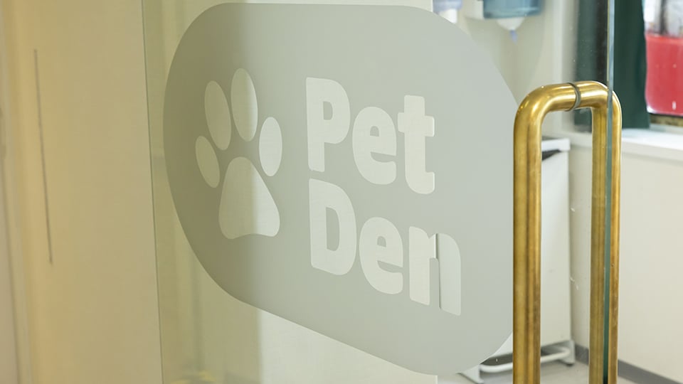 Dedicated pet space aboard the Isle of Innisfree ferry