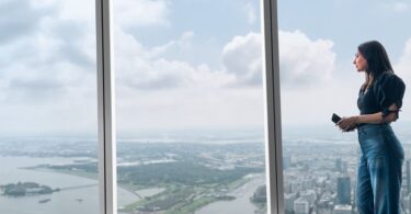 Vue panoramique de Lower Manhattan depuis One World Observatory