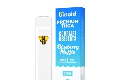 Binoid CBD THCA Gourmet Desserts disposable in Blueberry Muffin flavor