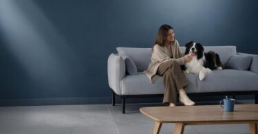 Mujer con perro en un sofá, escena de hogar